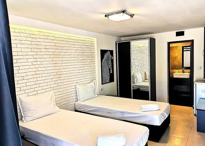 Sport Generation Camp * 로제넷츠