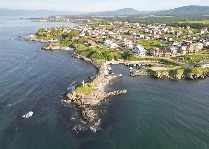 Sport Generation Camp * 로제넷츠